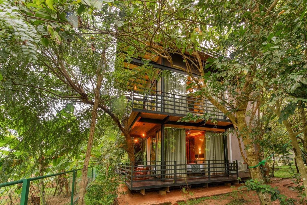 Atha Resort Sigiriya Ngoại thất bức ảnh A tree house at the resort