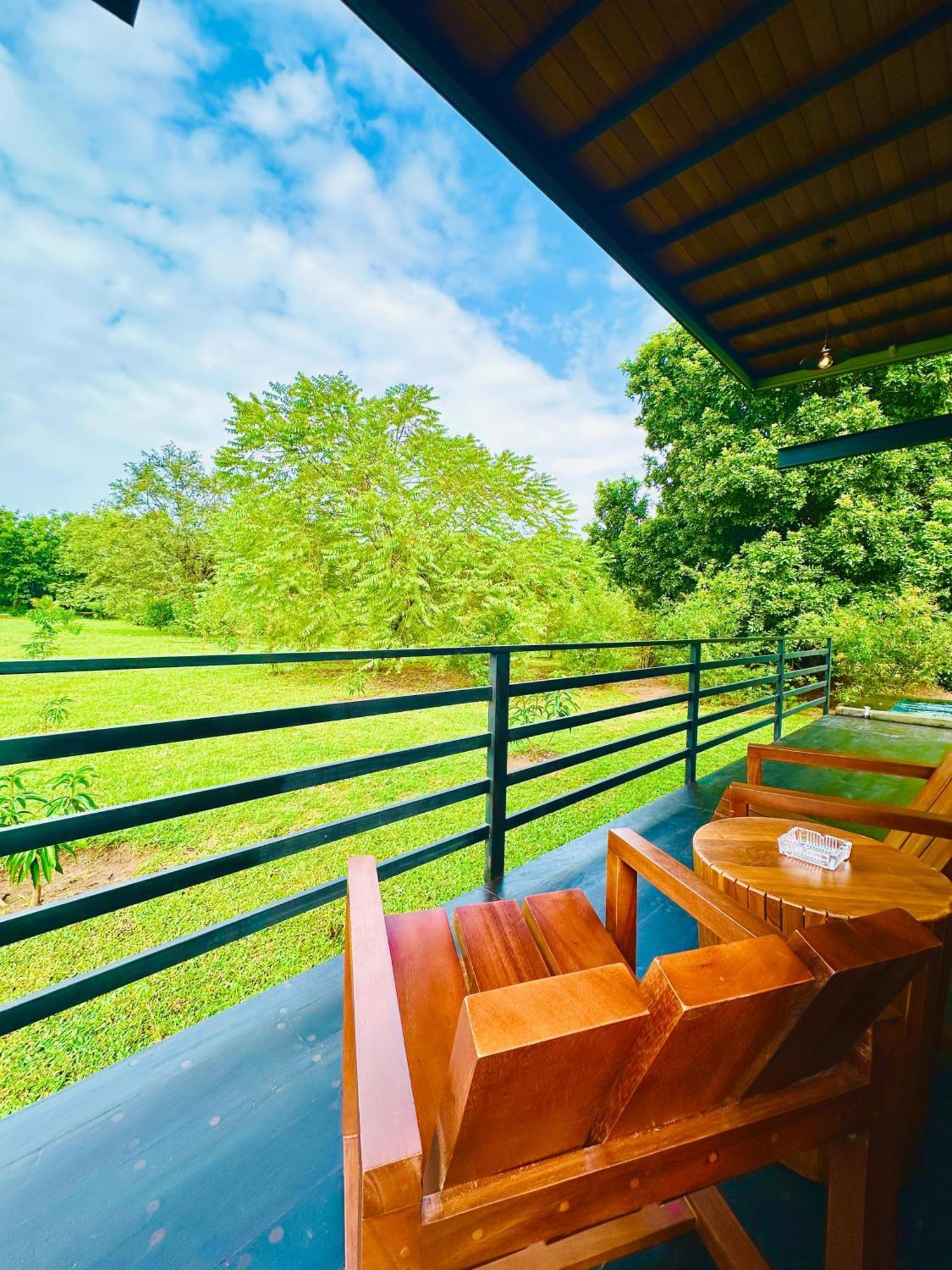 Atha Resort Sigiriya Ngoại thất bức ảnh The view from the balcony of the hotel