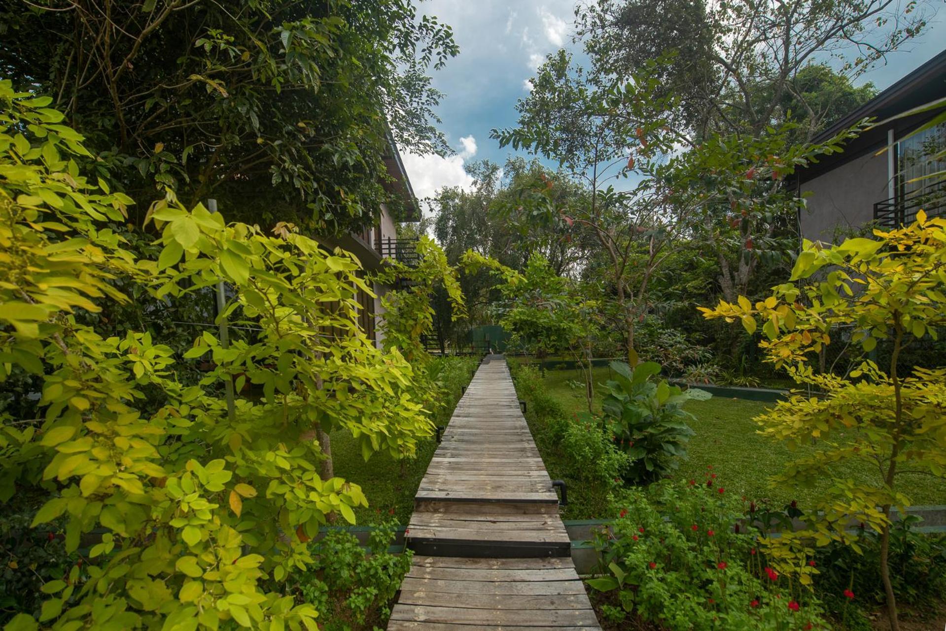 Atha Resort Sigiriya Ngoại thất bức ảnh