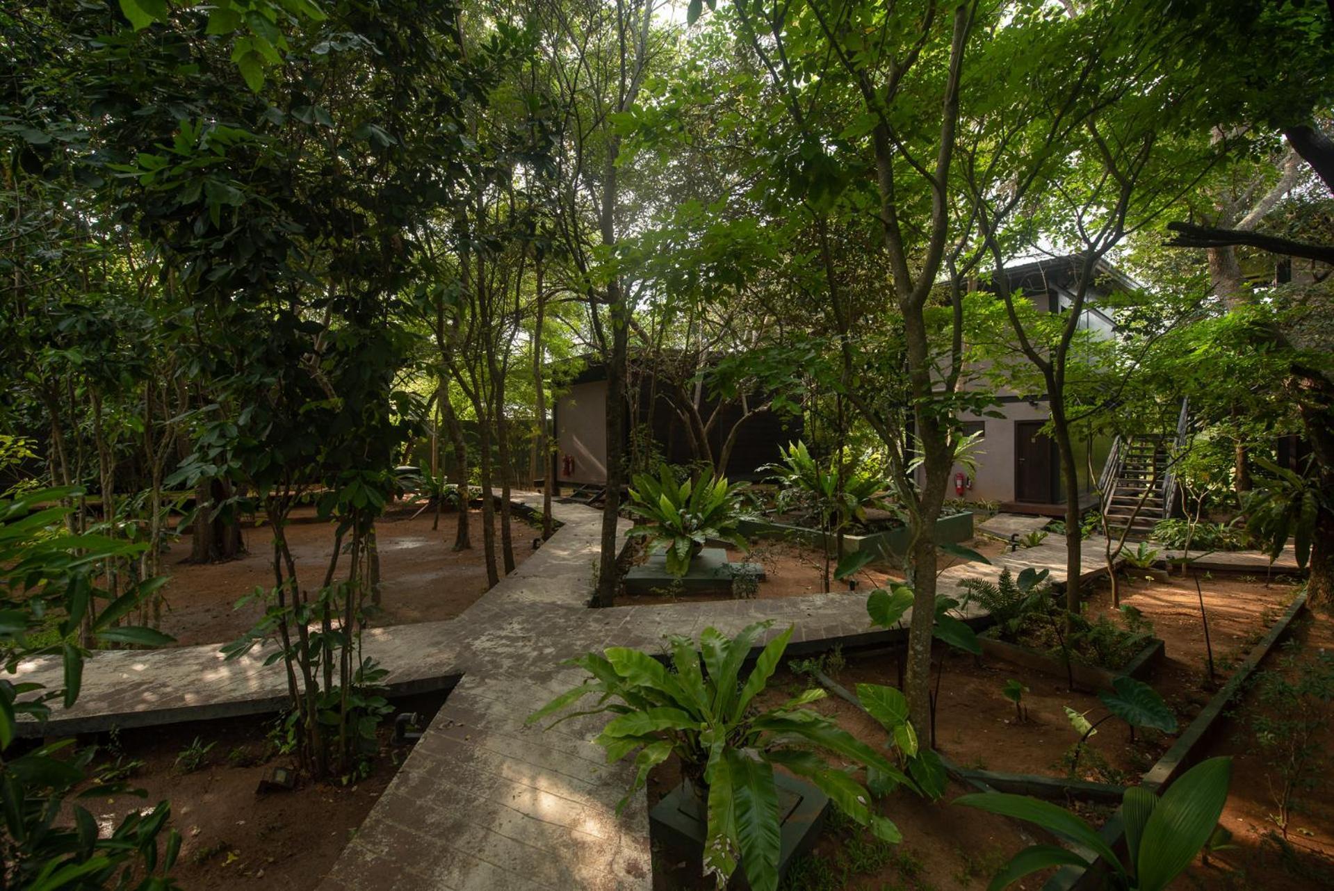 Atha Resort Sigiriya Ngoại thất bức ảnh