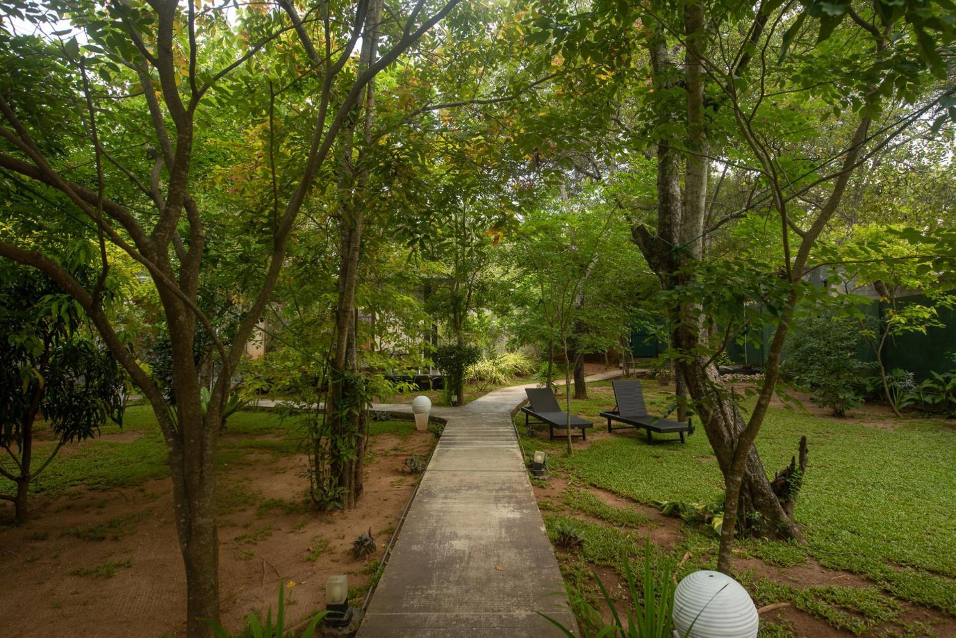 Atha Resort Sigiriya Ngoại thất bức ảnh