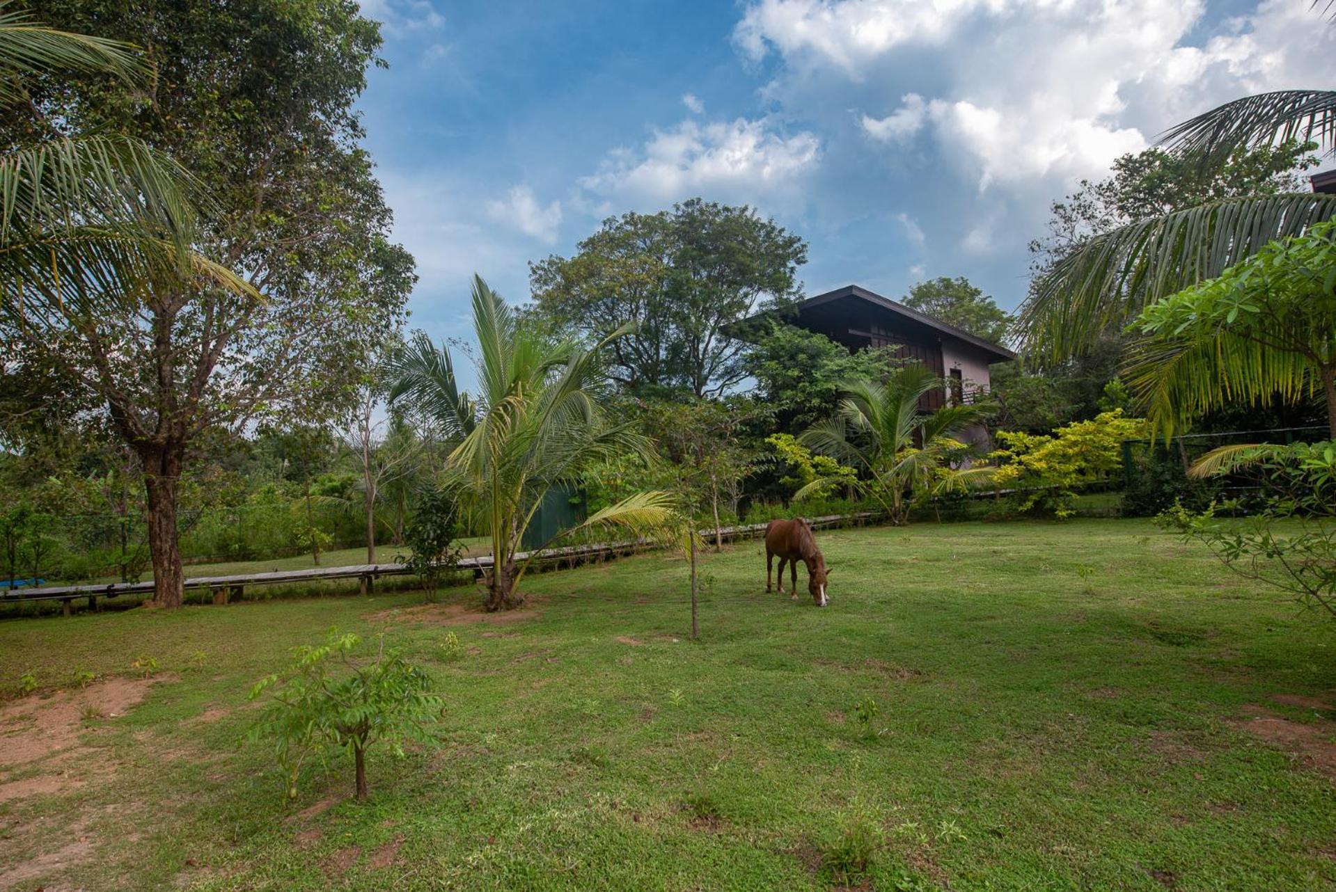 Atha Resort Sigiriya Ngoại thất bức ảnh